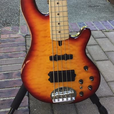 Bacchus Handmade Japan Series WOODLINE DX5/E - 5 String Bass In