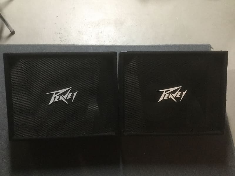 Two Peavey Pv 12m 2 Way Floor Monitors Reverb