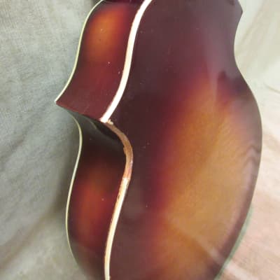 1950's Kay KM 70 8 String Mandolin Sunburst Great Shape Loud ! Pro Set Up Free US Shipping! image 4