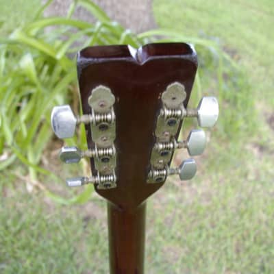Trump Dreadnought with Vintage Case image 21