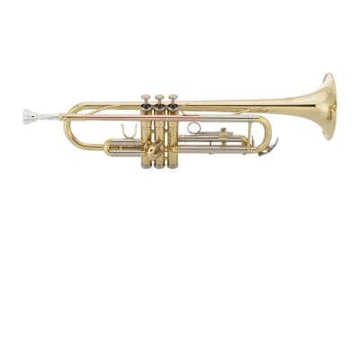 Intermediate Trumpet - brass image 4