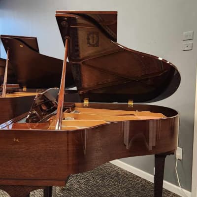 2018 Yamaha Gb1k Polished Walnut 5' Baby Grand Piano * Free 1st Floor NJ delivery! image 6