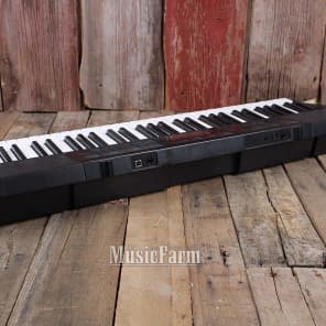 Casio CTK 2300 61 Key Portable Keyboard with Voice Pad Reverb