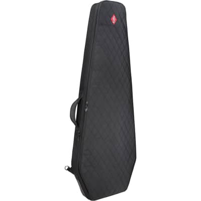 Coffin Case Chimera Electric Guitar Bag Black Extreme Guitar/Flying V for sale