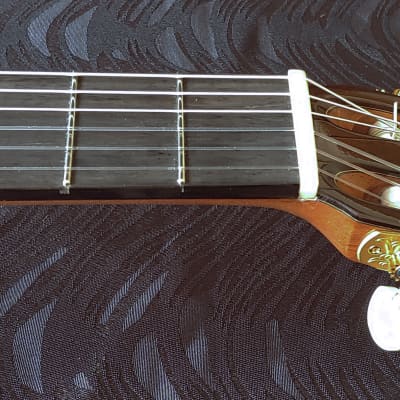 2022 Darren Hippner Indian Rosewood Domingo Esteso Model Classical Guitar image 13
