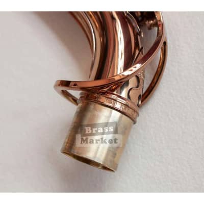 Saxo alto Wood Stone Ishimori Super Custom VL image 5