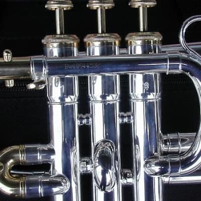 BerkeleyWind piccolo trumpet - Silver image 3