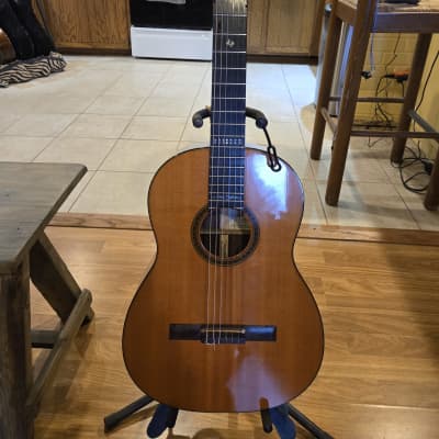 Willie Nelson Martin N20WNB 1998 - Natural for sale