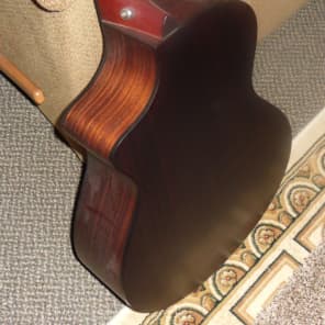 Breedlove AN 250 / CR  Natural image 4
