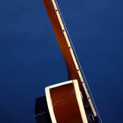 Harmony H35 Electric Batwing Mandolin 1972 / Irresistible! image 12