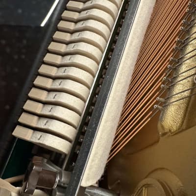 Yamaha b1 Acoustic Upright Piano Late 2021 - Present - Polished Ebony with Gold Fittings image 4