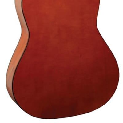 Indiana COLT Standard Size 36-Inch Spruce Top 6-String Acoustic Guitar w/Gig Bag image 2