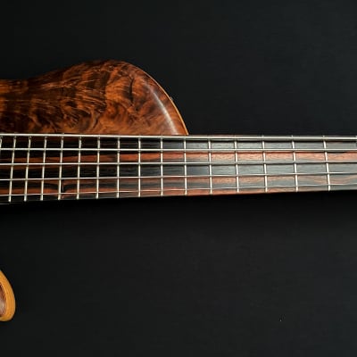 Elrick Platinum Series E-Volution Single Cut 5-String Bass, Macassar Ebony, Walnut image 7