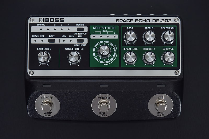 RE202 Space Echo Reverb