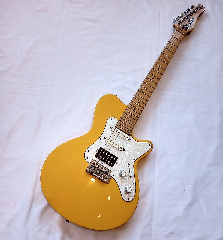 godin SD24 レア物 Godin 2000's SD-24（中古）【楽器検索デジマート】