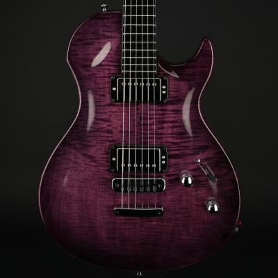 Vigier GV Wood in Purple Fade with Gig Bag #0502 image 1