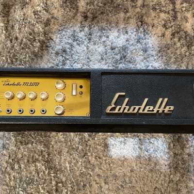 Klemt Echolette M100 rare 60s German vintage tube guitar amplifier w/ rare case/stand. See video! image 3