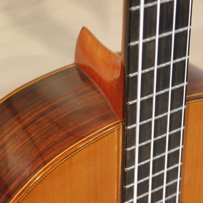 Esteve PS75-4 Contrabass Guitar Cedar Top image 7