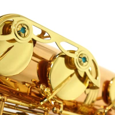 Free shipping! 【Special price】 Yanagisawa T-WO2(TWO2) Bronze Tenor Saxophone image 9
