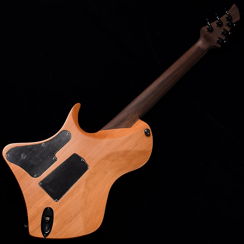 ギター ABASI GUITARS Custom6 Straight Scale LARADA 6 // Master Series // Tundra - Abasi Concepts LLC