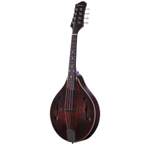 Eastman MD305 A-Style Mandolin Solid Spruce & Solid Maple image 2