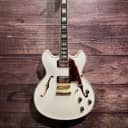 D'Angelico EXCEL DC Electric Guitar (Carle Place, NY)