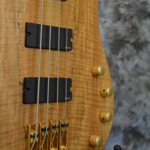 Immagine Rare 2008 Parker PB61 "Hornet" Bass feat. Spalted Maple Top - 6