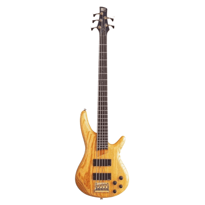 【人気投票 1~37位】ハイブランド人気ランキング！ Soundgear Standard SR506 Ibanez Bass Reverb | ベース