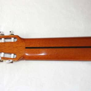 Original 1979 Ramirez 1a 10-String Classical Harp Guitar, Cedar/Indian image 9