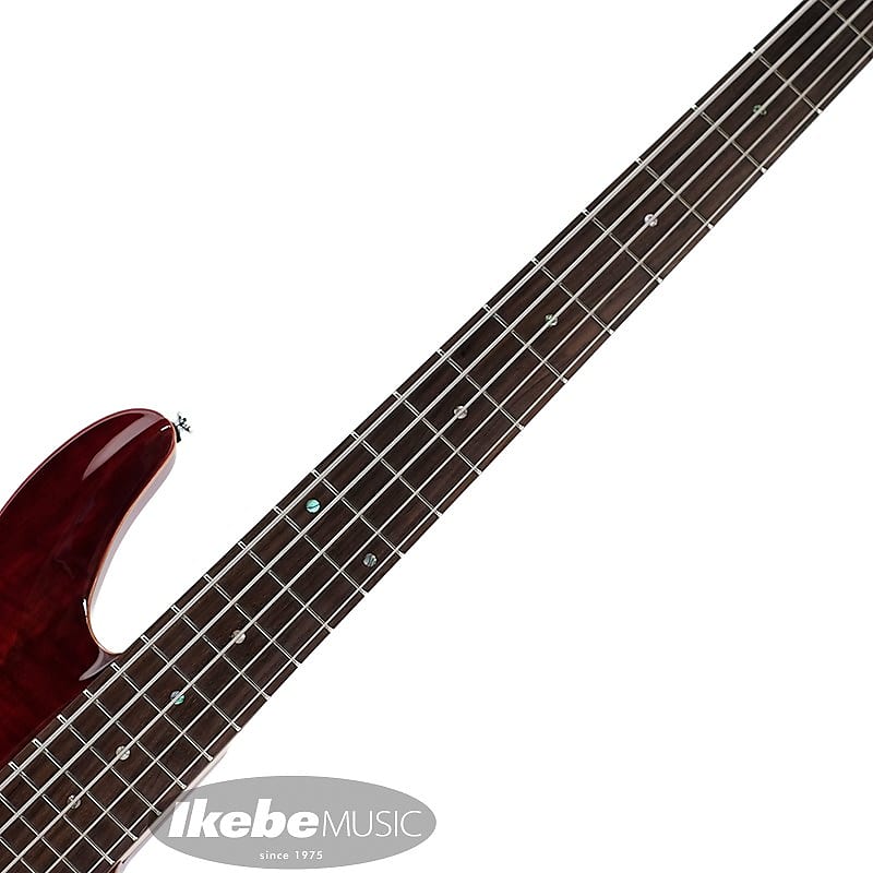 SCHECTER JOL-CT-B-5 (BKCH) | Reverb