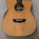 Washburn WLG110SWCEK Solid Wood Woodline Acoustic Electric Guitar w/Case - #AM46