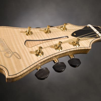 Schneider Guitars / The SoHo17 image 16