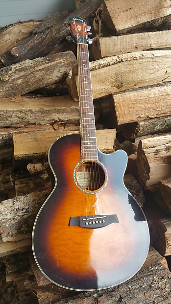 Ibanez aeg25e top