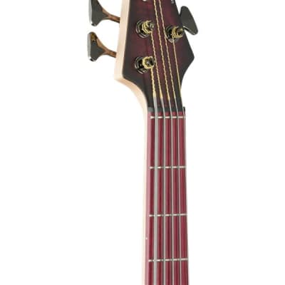 MTD Andrew Gouche Signature AG-5 5-String Bass Smoky Purple Satin image 4