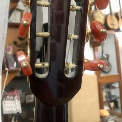 Washburn WCG15SCE12 Comfort Series Spruce Top Mahogany 12-String Acoustic-Electric Guitar W/Hard Case