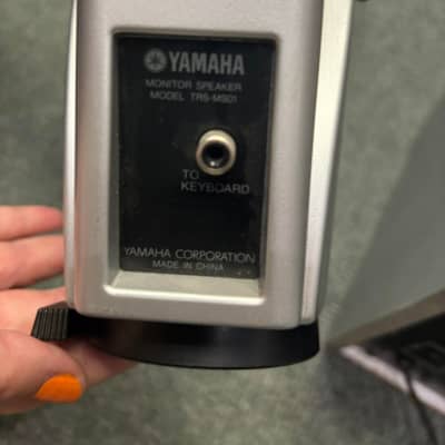 Yamaha TRS-MS01 2002 - Silver Speakers for Tyros 1 image 8