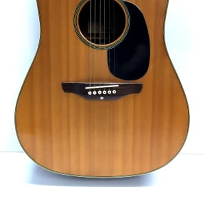 Takamine GN10 NS G10 Series NEX Acoustic Guitar Natural Satin