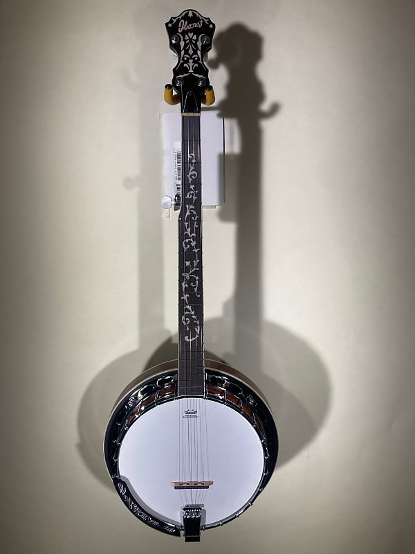 Ibanez 5-String Banjo - B200 - Natural | Reverb