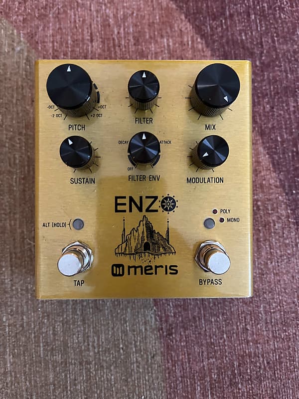 Meris Enzo