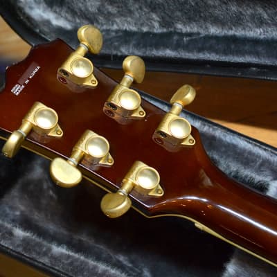 Dexter DH-335 semi-hollow body Korea / with hard case | Reverb Canada