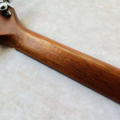 Taylor 310ce with Fishman Electronics 2000 - Natural image 19
