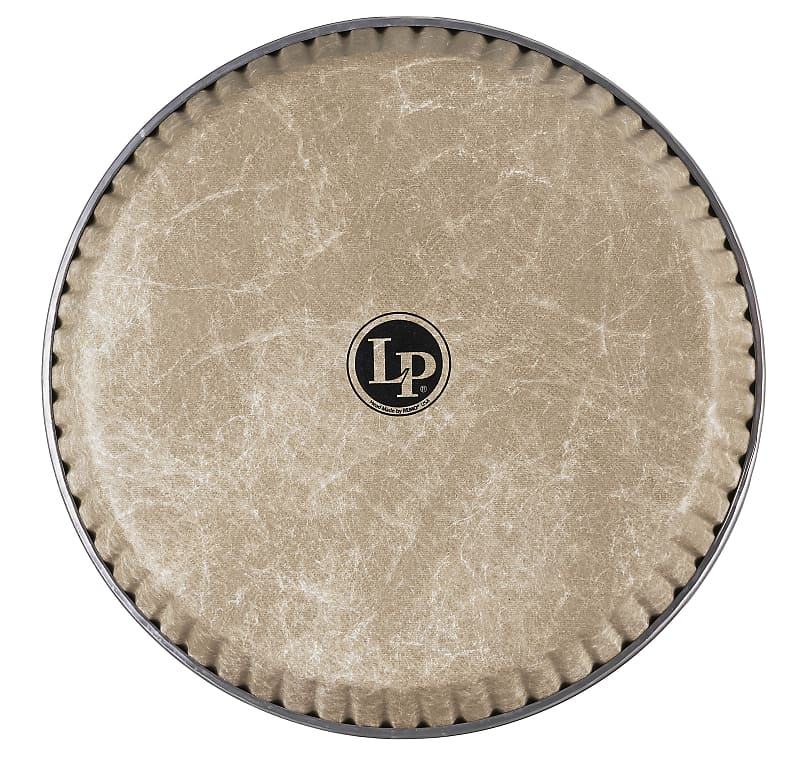 LP 113/4" Fiberskyn LP by Remo Conga Head Reverb