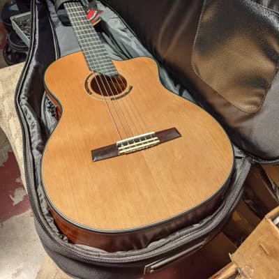 NEW! Angel Lopez Eresma  Acoustic/Electric Classical Guitar With Gig Bag - Looks/Plays/Sounds Great! image 12