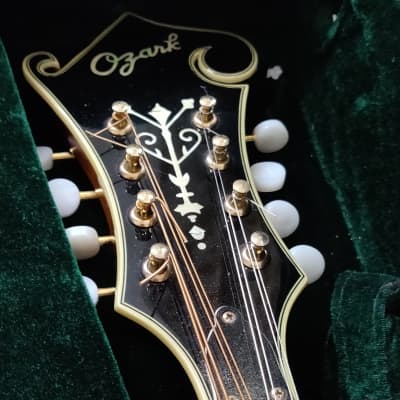 Ozark 2255 F style mandolin image 3