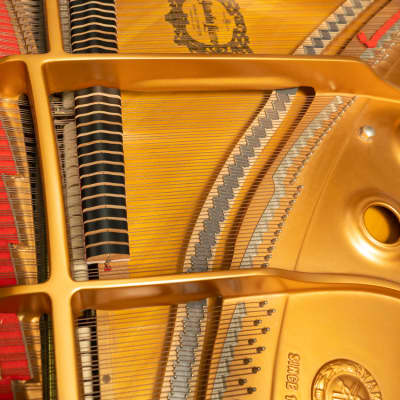 Yamaha DC1 Grand Piano | Polished Ebony | SN: 5879128 image 5