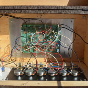 PAiA Theremax ◎テルミン◎楽器◎ PAiA Theremax ◎テルミン◎楽器◎ 【公式通販】