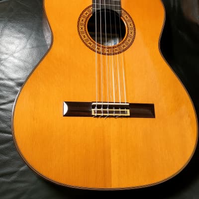 ECOLE エコールギター/楽器｜WonderREX-ONLINE 公式通販サイト