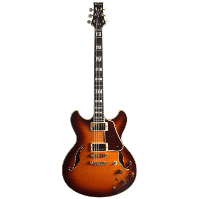 ギター Ibanez AS200 Ibanez AS200 Artstar | Reverb