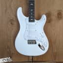 Paul Reed Smith PRS Silver Sky Electric Guitar Frost Rosewood Fretboard w/bag