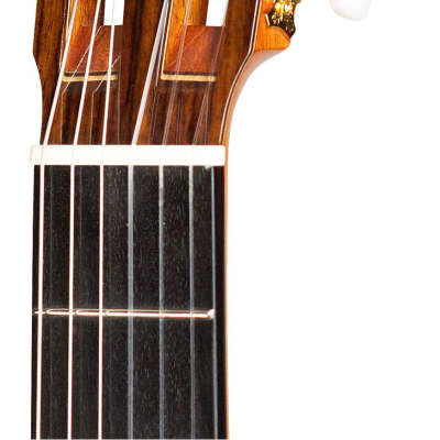 Matsuoka 720 Classical Guitar Spruce/Indian Rosewood image 10